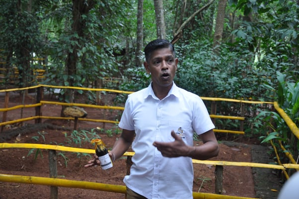 Sri Lanka, Matale, Gewürzgarten