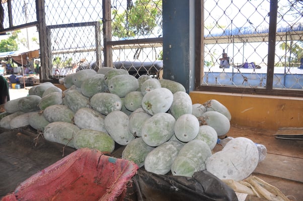 Sri Lanka, Hambantota