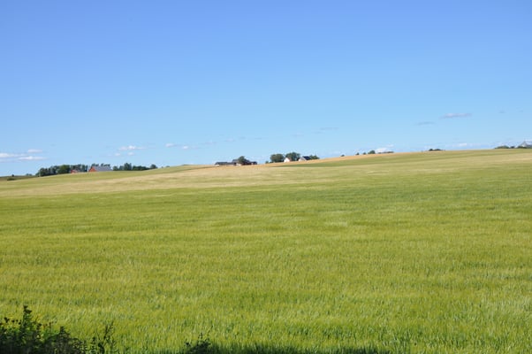 Schweden, Burg Glimingehus