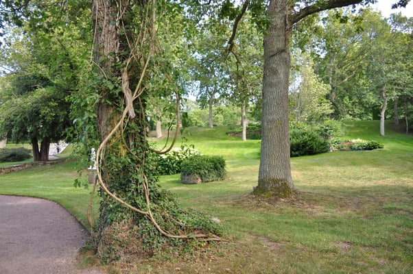 Schweden, Öland, Schloss Sollidens