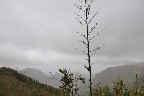 Kap Verden, Insel Santiago, Nationalpark "Serra Malagueta"