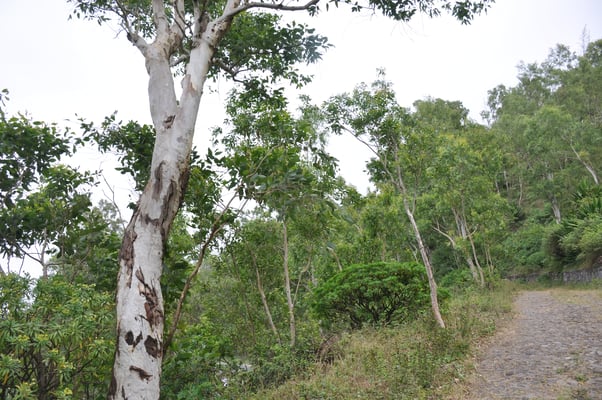 Kap Verden, Insel Santiago, Nationalpark "Serra Malagueta"
