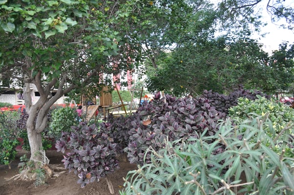 Kap Verden, Insel Sao Vicente, Stadt Mindelo