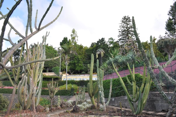 Madeira, Funchal, Botanischer Garten