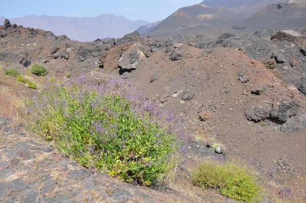 Kap Verden, Insel Fogo, Cha das Caldeiras, Pico Grande