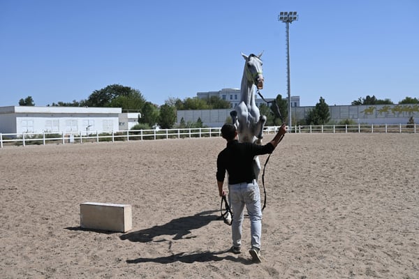 Turkmenistan, Ashgabad, Gestüt der Achal Tekkiner Pferde