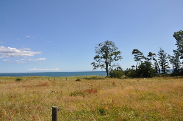 Schweden, Ales Stenar