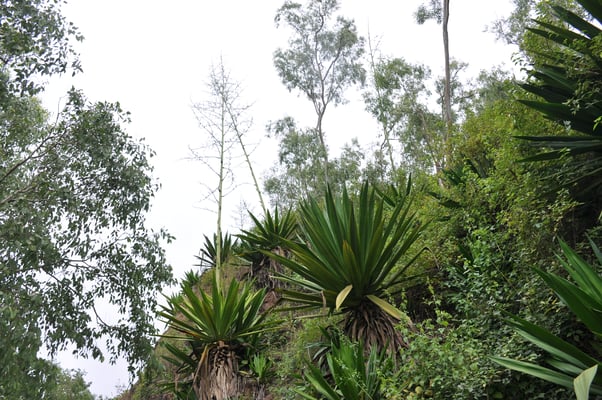 Kap Verden, Insel Santiago, Nationalpark "Serra Malagueta"