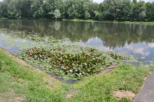 Polen: Warschau: Schloss Wilanow