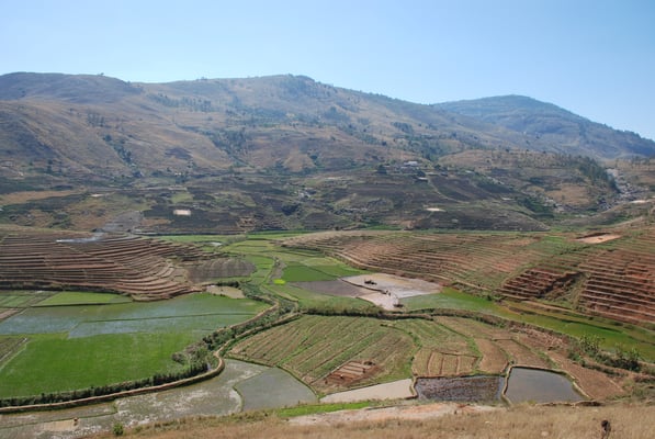 Madagaskar, Terrassenfelder 