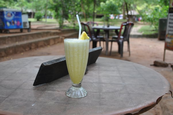 Sri Lanka, Sigirya, Rieselfels Sigirya (Löwenfels)