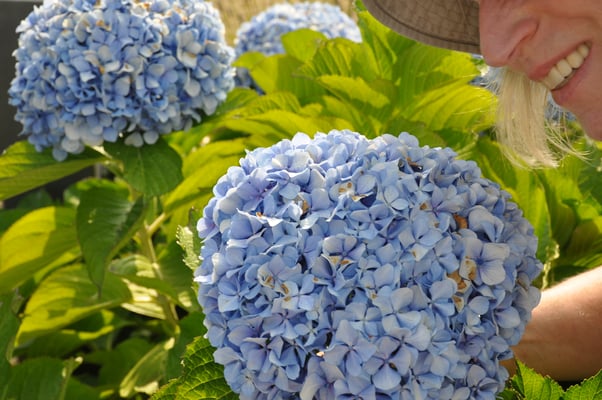 Madeira, Ausflugsplattform Miradouro do Cabo Girao