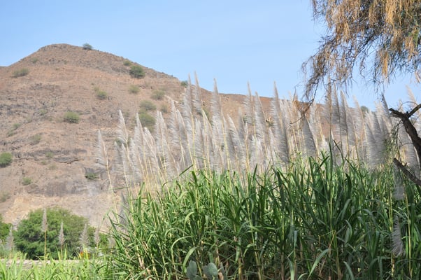 Kap Verden, Insel Santo Antao