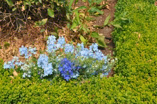 Polen: Warschau: Schloss Wilanow