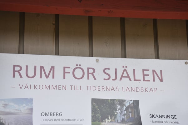 Schweden, Rök, Runenstein mit 800 Zeichen