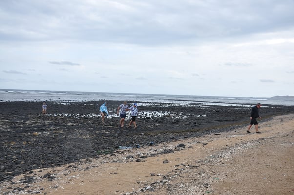 Kap Verden, Insel Sal, Haifischbucht