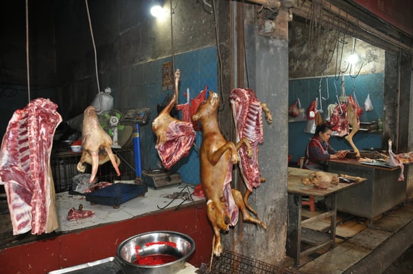 China, Guilin, Markthalle, geschlachteter Hund