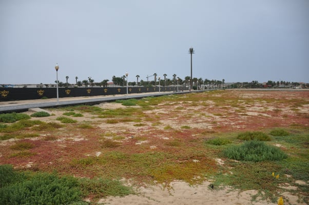 Kap Verden, Insel Sal, Strand 