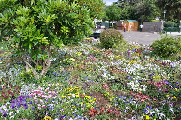 Madeira, Wanderung Levada do Furado