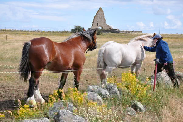 Schweden, Öland, St. Brigittas Kapelle