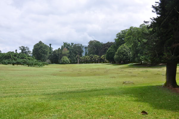 Sri Lanka, Kandy, Royal Botanic Gardens