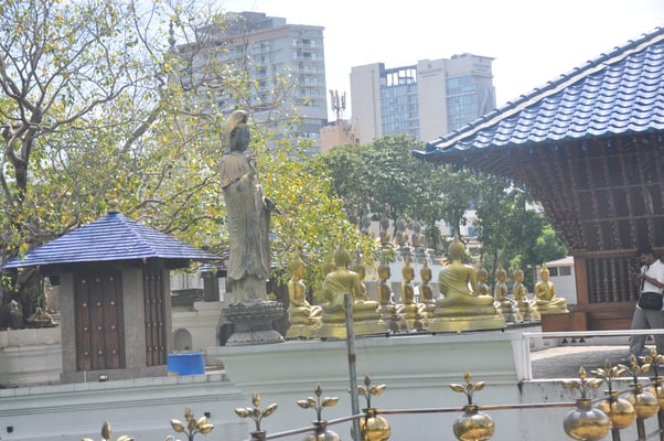 Sri Lanka, Colombo Stadtrundfahrt, Buddha Tempel, Halle der Unabhängigkeit