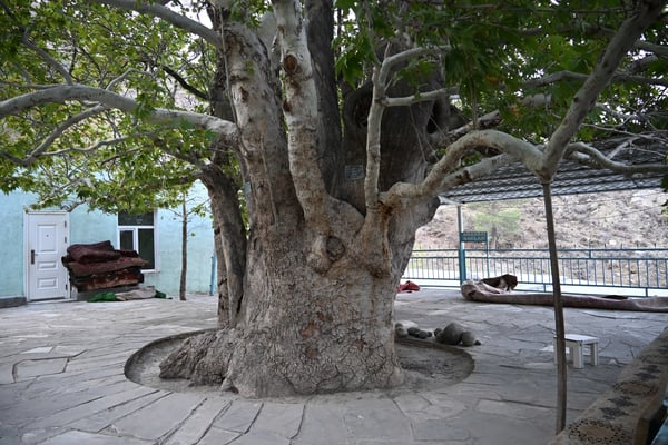 Turkmenistan, Dorf Nokhur, Sara Bibi Schrein und Friedhof