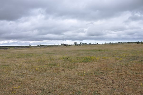 Schweden, Öland, Fliehbug, Barby Borg