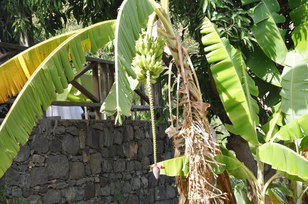 Kap Verden, Insel Santo Antao