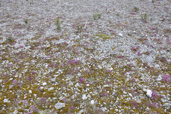 Schweden, Insel Farö, Rauk Gebiete