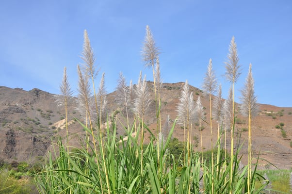 Kap Verden, Insel Santo Antao