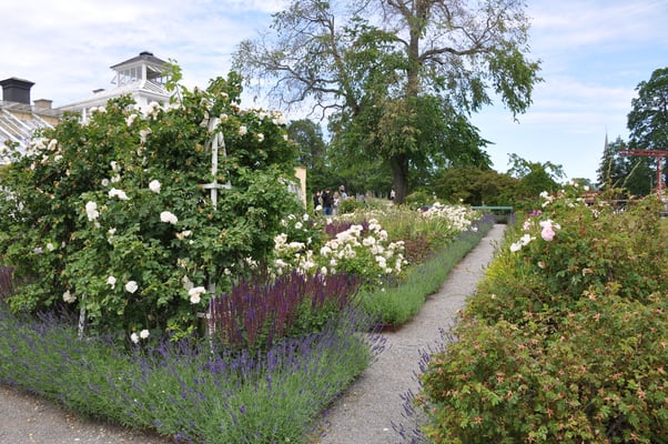 Schweden, Schloss Gripsholm