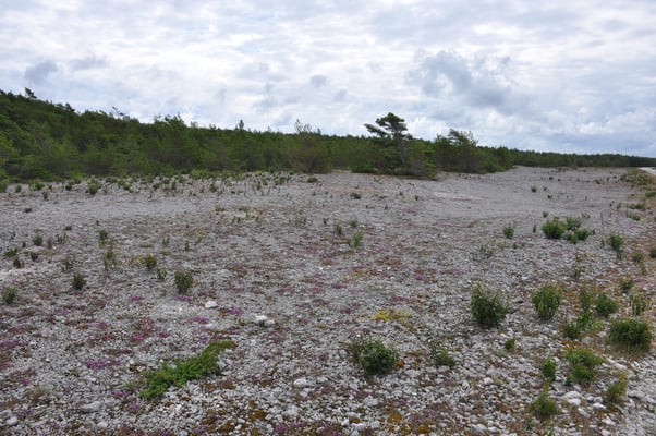 Schweden, Insel Farö, Rauk Gebiete
