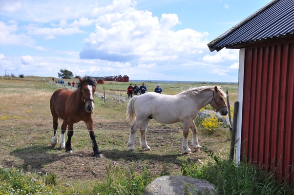 Schweden, Öland, St. Brigittas Kapelle
