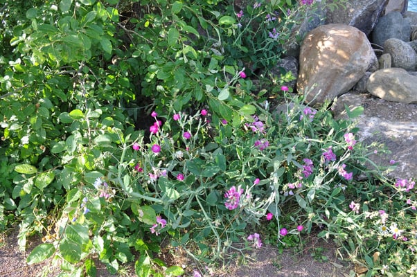 Schweden, Gränna, Campingplatz