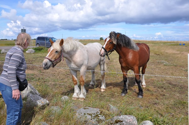 Schweden, Öland, St. Brigittas Kapelle