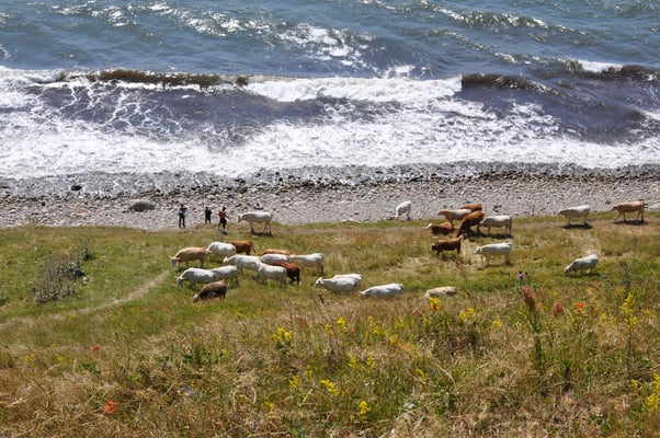 Schweden, Ales Stenar