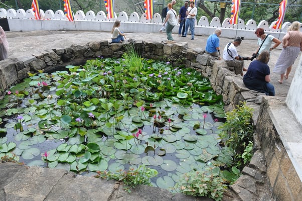 Sri Lanka, Goldener Höhlentempel von Dambulla