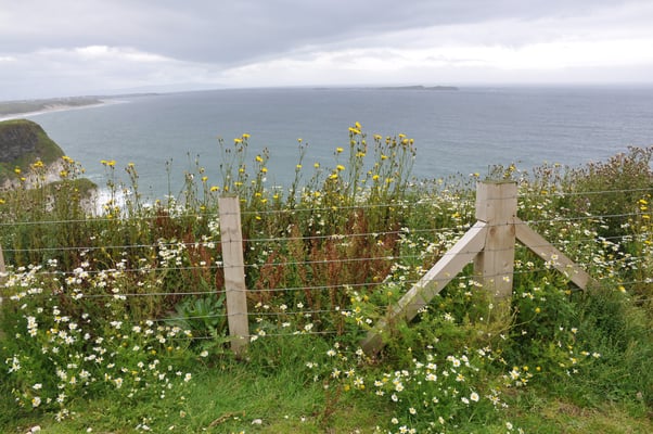Irland, Nordirland, Giants Causeway