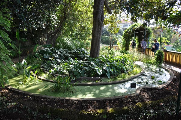 Madeira, Funchal, Botanischer Garten