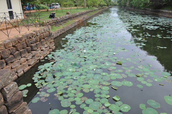 Sri Lanka, Sigirya, Rieselfels Sigirya (Löwenfels)