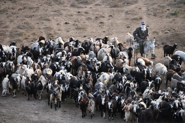 Turkmenistan, Auf dem Karakorum Highway