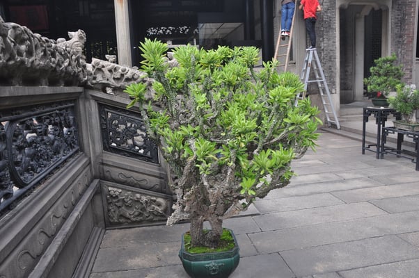 China, Kanton, Tempel des Chen Clans