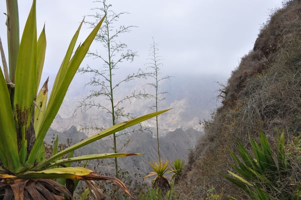 Kap Verden, Insel Santo Antao, Ponta do Sol