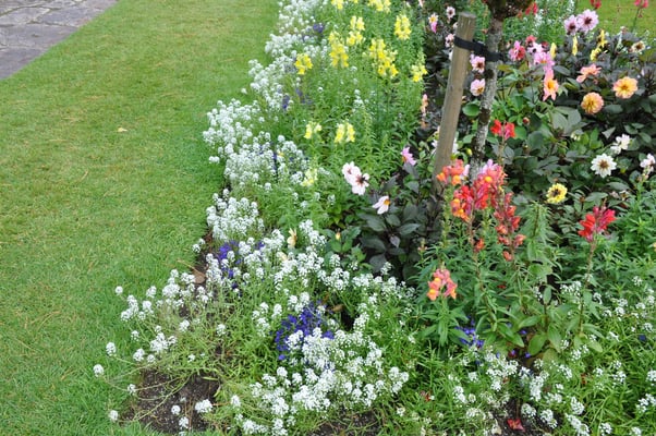 Irland, Muckross House mit Garten
