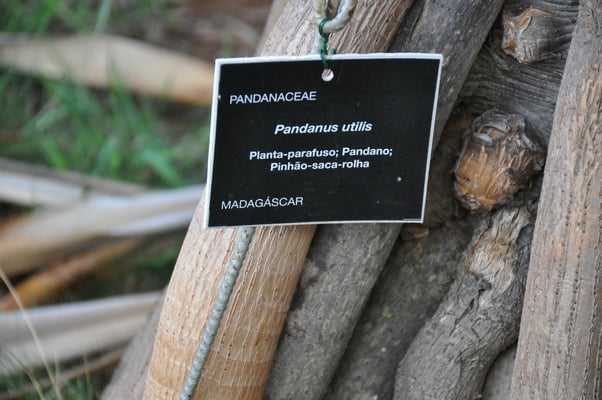 Madeira, Funchal, Botanischer Garten