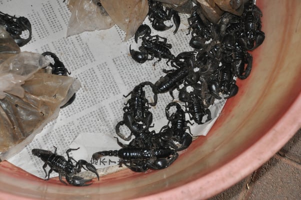 China, Kanton, Markt