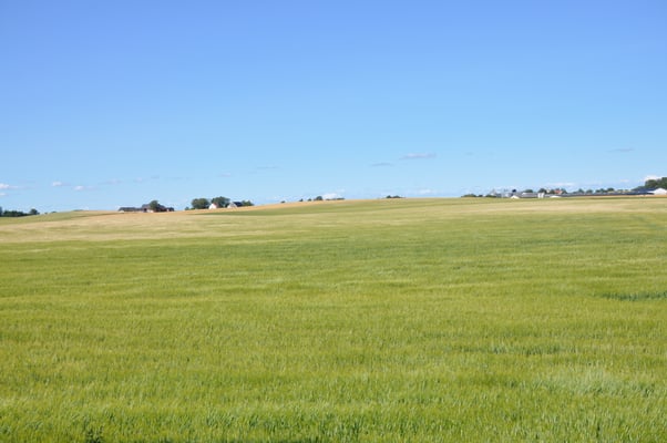 Schweden, Burg Glimingehus