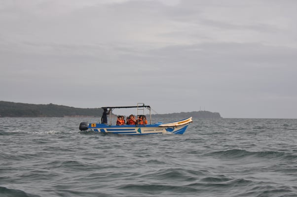 Sri Lanka, Trincomalee, Pigeon Island Resort, Ausflug zur Delphinbeobachtung