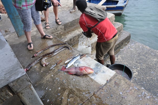 Kap Verden, Insel Sal, Santa Maria